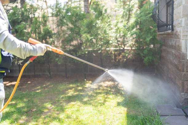 Best Emergency Pest Control  in Leesburg, VA