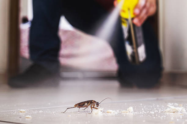 Best Insect Control  in Leesburg, VA