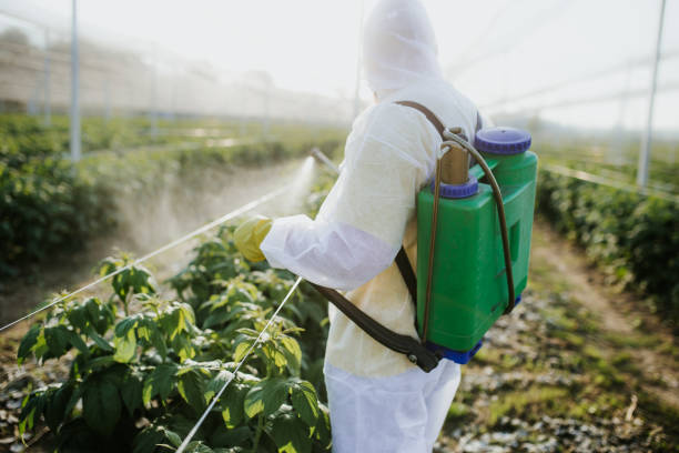 Best Best Pest Control Companies  in Leesburg, VA